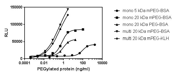Figure 4. Reactivity of mono- and multi-PEGylated proteins in the PEG-SP SPARCL assay.